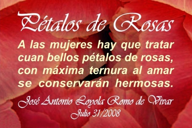 05 Pétalos de Rosas (31-07-2008)