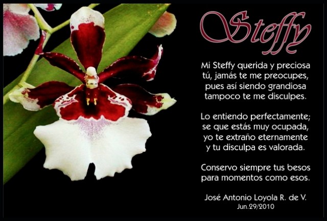 19 I a Stefania Ceruti (Arg. 29-06-2010)