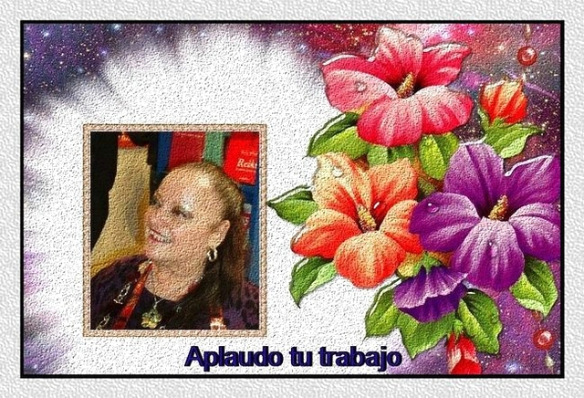 Aplaudo tu trabajo, Kelly