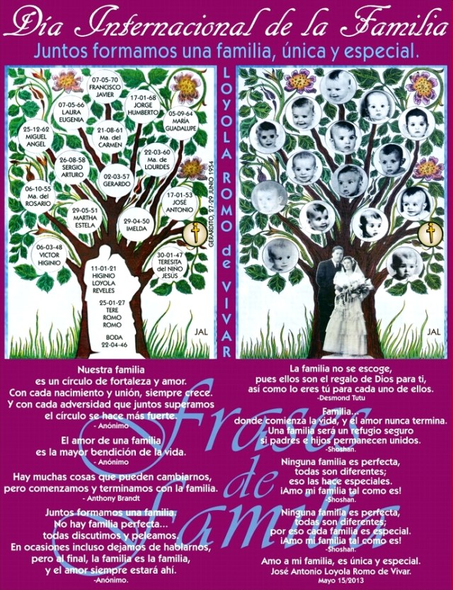 Día Internacional de la Familia 15 05 2013