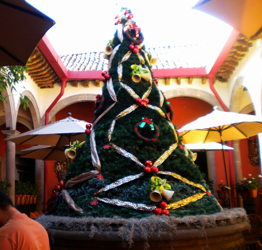 03 Carnitas El Rey, Quiroga, Mich. 05