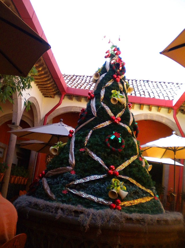 03 Carnitas El Rey, Quiroga, Mich. 06