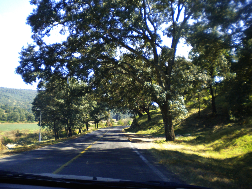 03 Hacia Morelia 16-12-2012 (4)