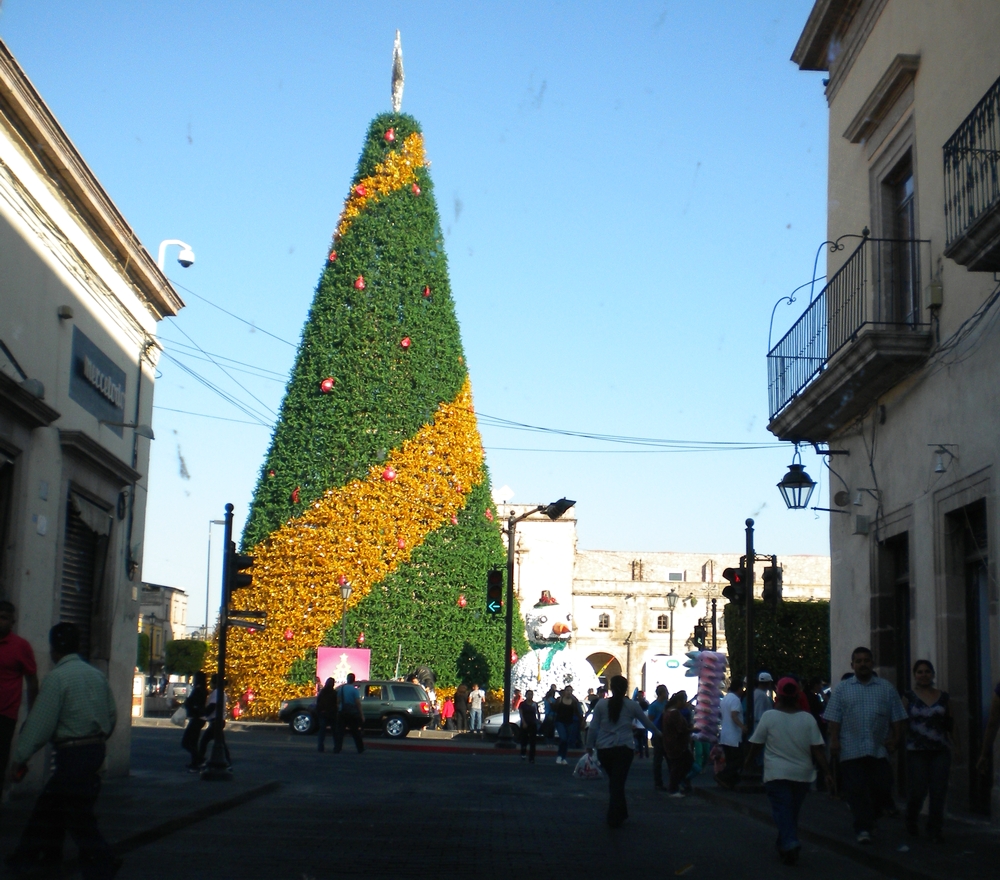 04 a la llegada a Morelia (25)