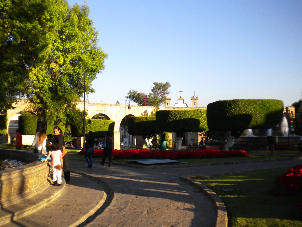 04 a la llegada a Morelia (31)