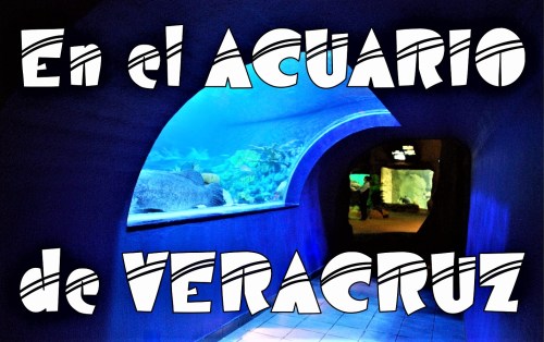 ATRACTIVOS en VERACRUZ